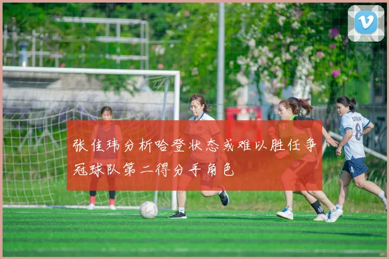 张佳玮分析哈登状态或难以胜任争冠球队第二得分手角色